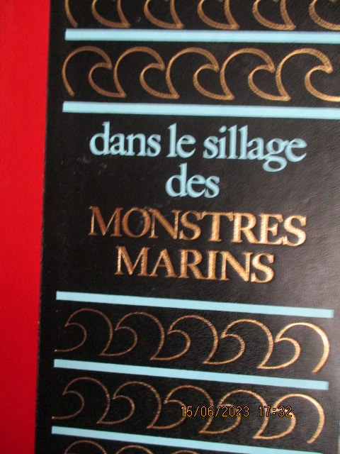 sillage-monstres-marins.JPG