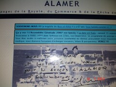 alamer