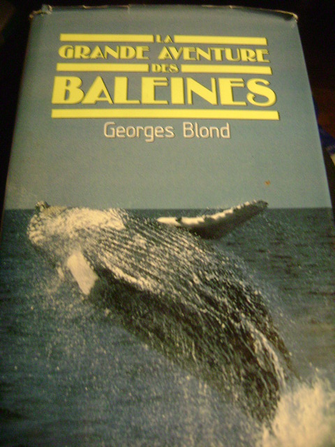 baleines