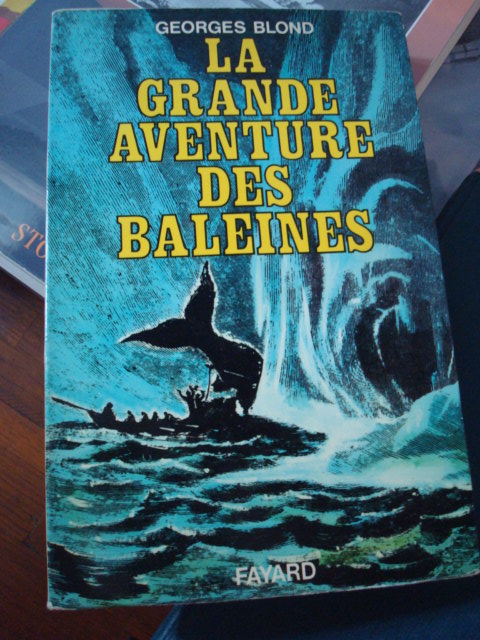 baleine-blond