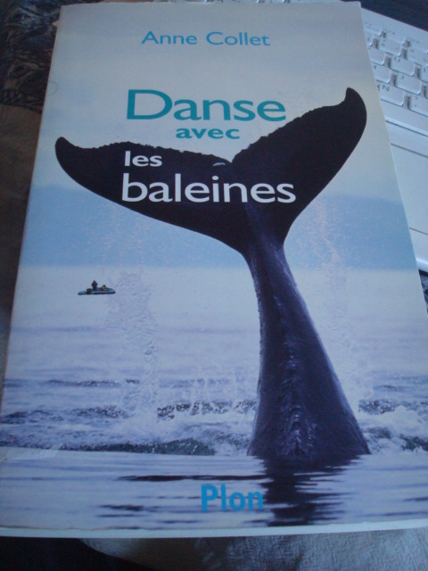 danse-avec-les-baleines