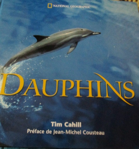 dauphins-cahill.JPG