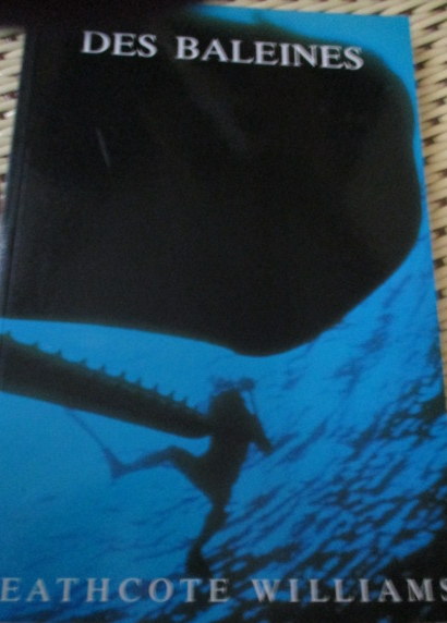 des-baleines.JPG