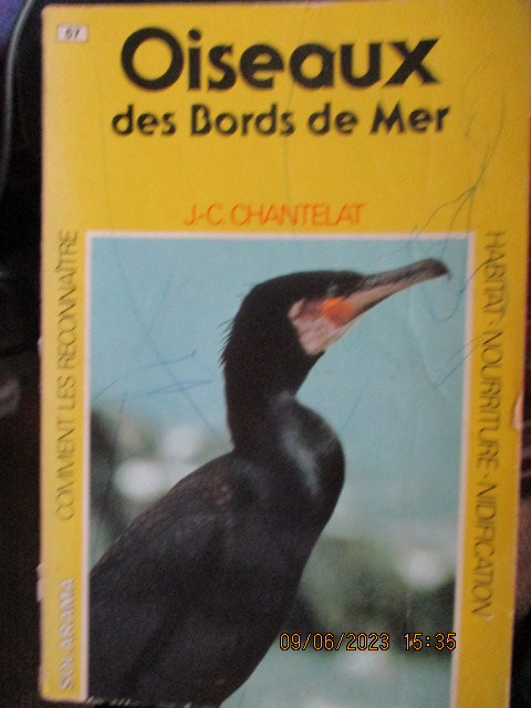 oiseaux-du-bord-de-mer.JPG