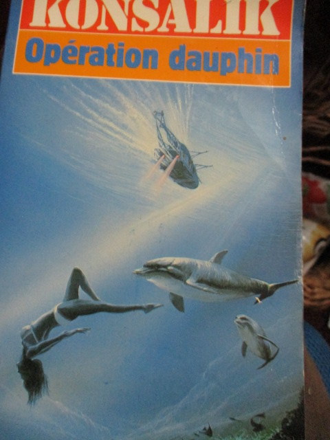 operation-dauphin------.JPG
