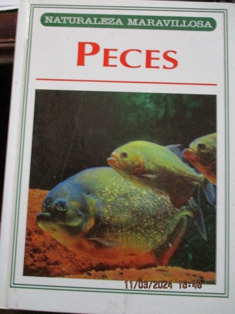 peces.JPG