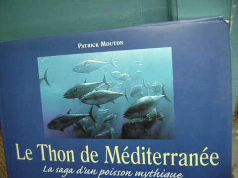 peche-aux-thons.jpg