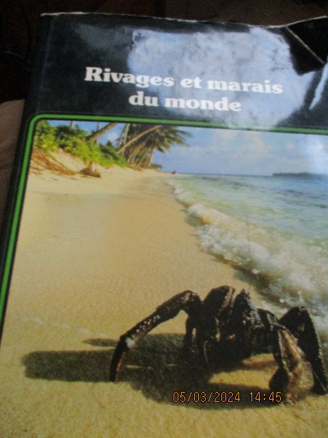 rivages-et-marais.JPG