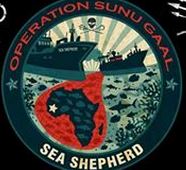 sea-shepherd