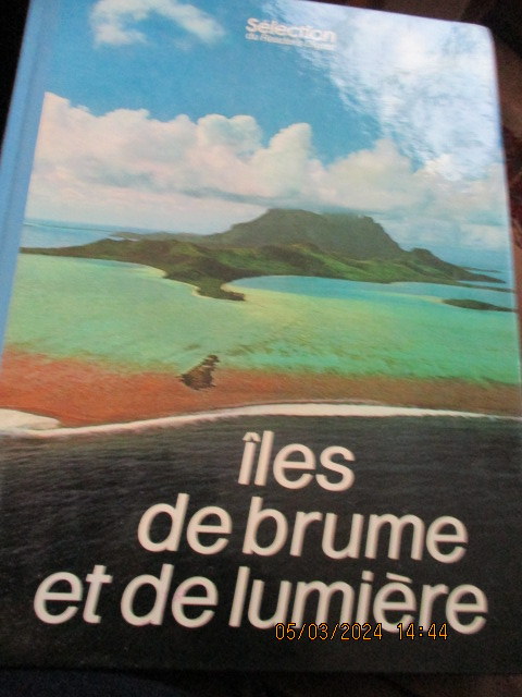 lumiere-brume.JPG