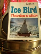 ice-bird