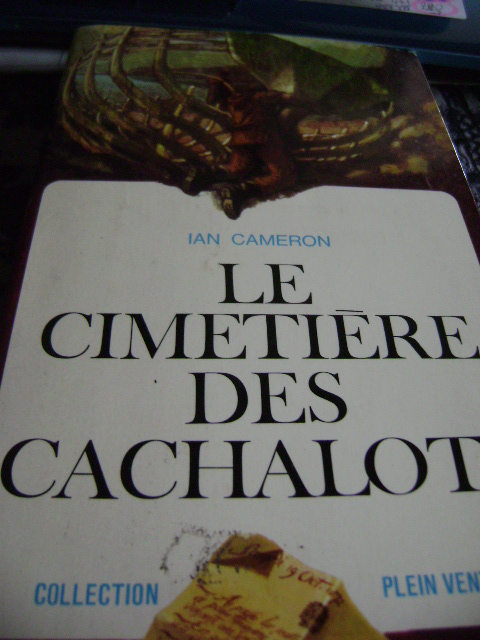 cimetirre-des-cachalots