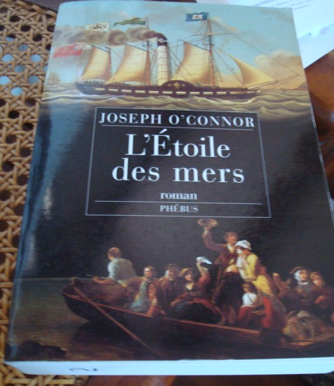 etoile-des-mers