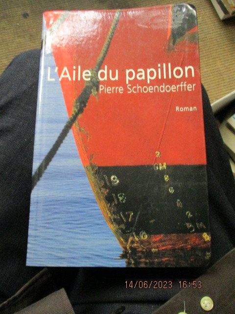 papillon.JPG