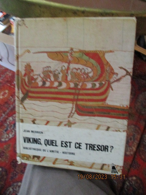 tresor-viking.JPG