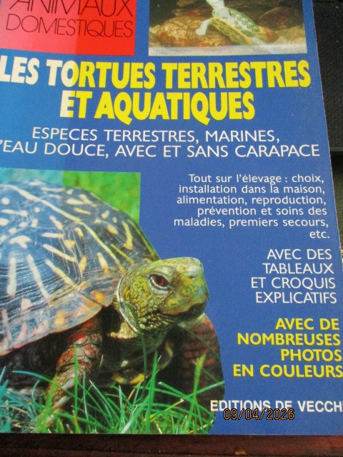 tortues-.JPG
